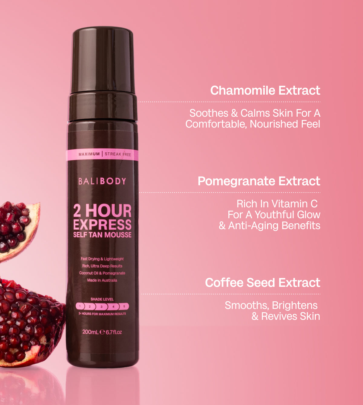 2 Hour Express Self Tan Mousse Set
